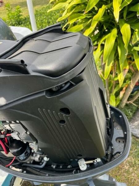 Close-up of a 2016 Release 208 RX outboard motor, with lush greenery in the background.