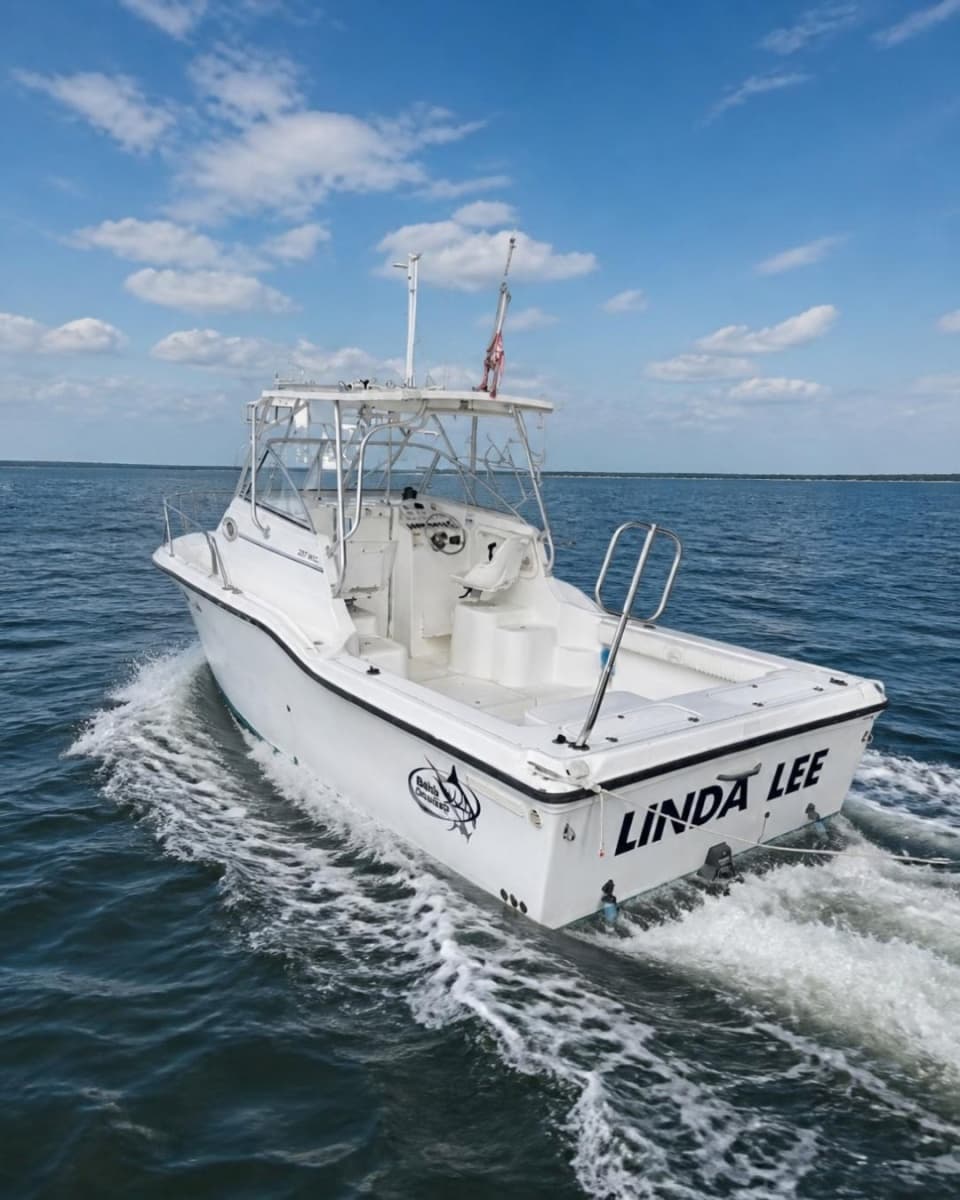2005 Baha Cruisers 257 WAC