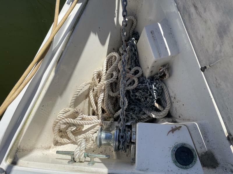 Catalina 42