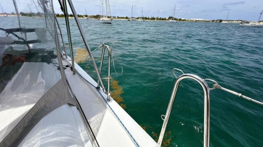 20 Deck Beneteau 461 2020