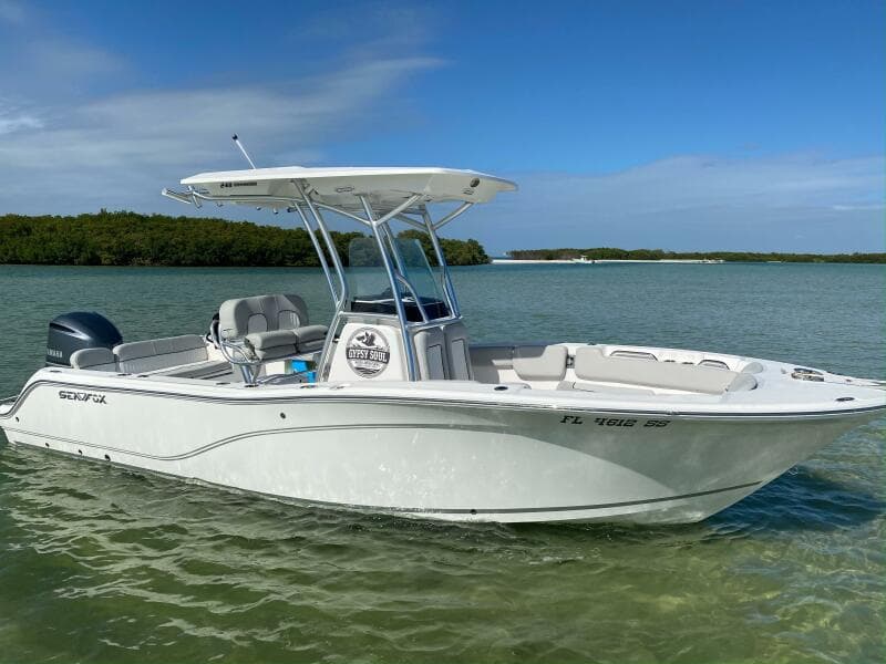 2020 Sea Fox 