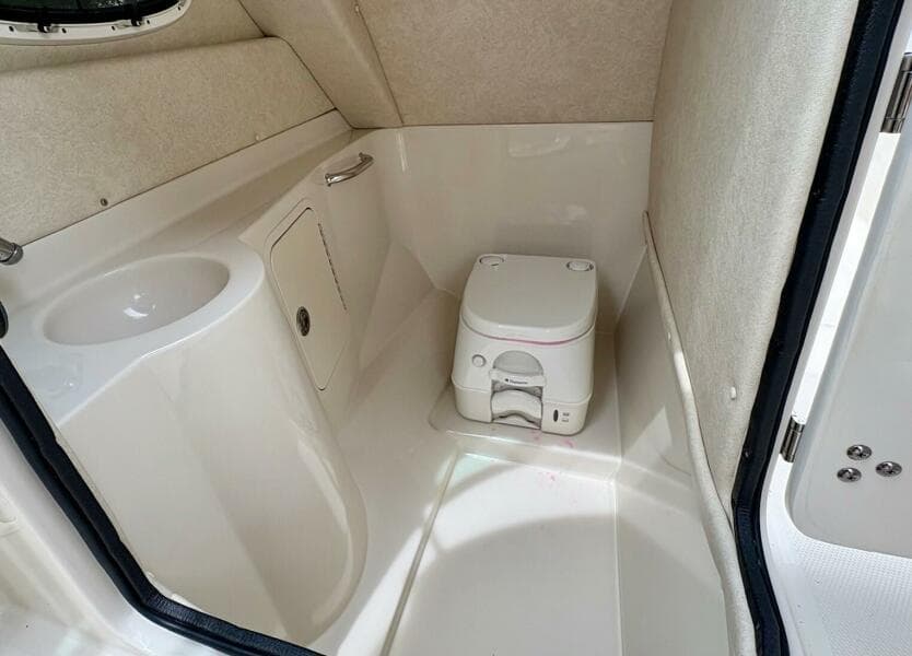 2010 Sea Ray 260 Sundeck