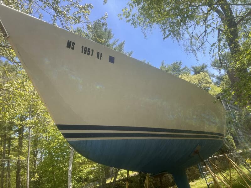 Port Bow