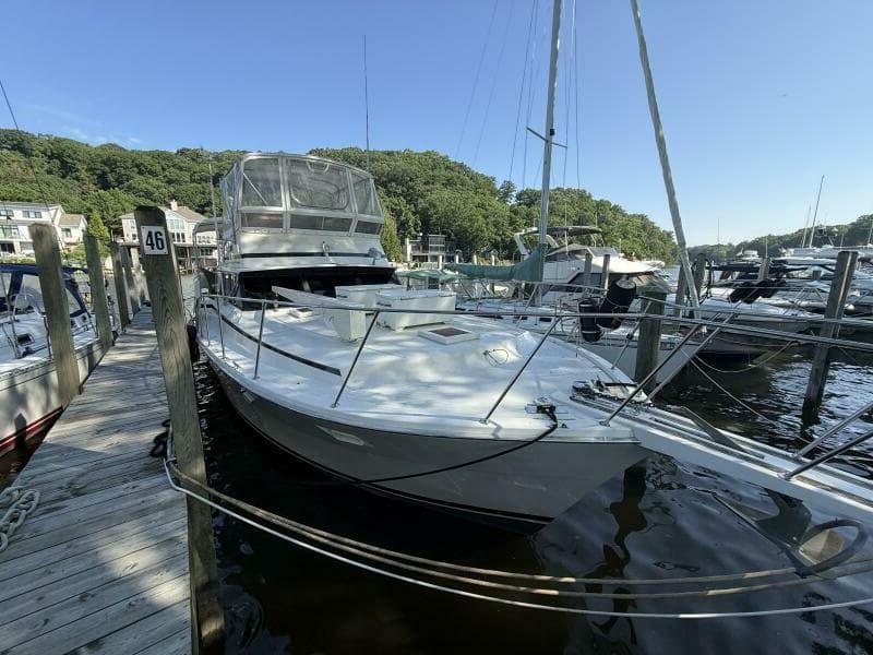 1980 Viking 43 DCMY