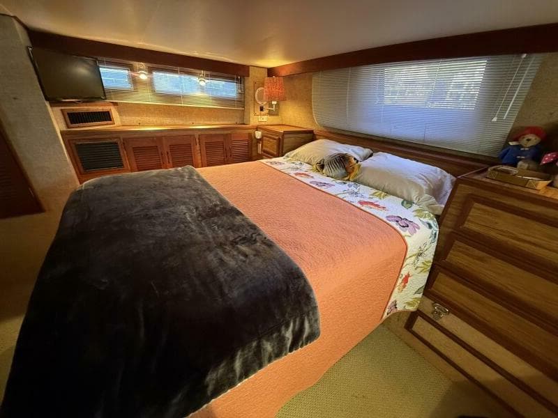 1980 Viking 43 DCMY