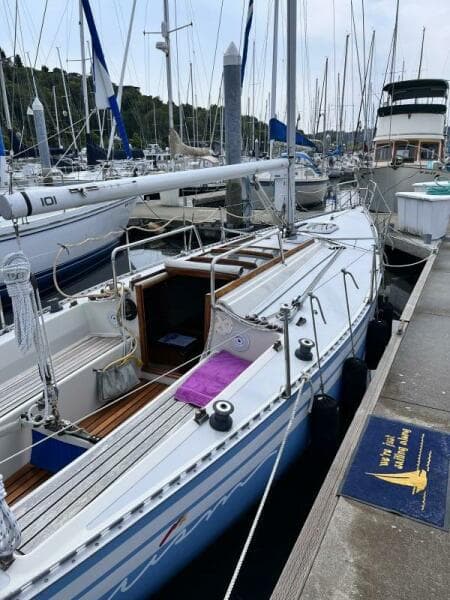 1978 Aphrodite 