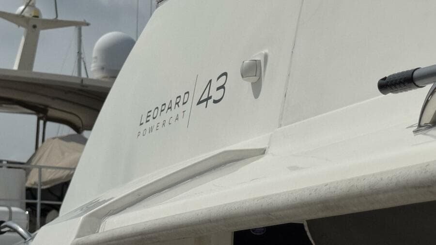 Exterior Lepoard Powercat