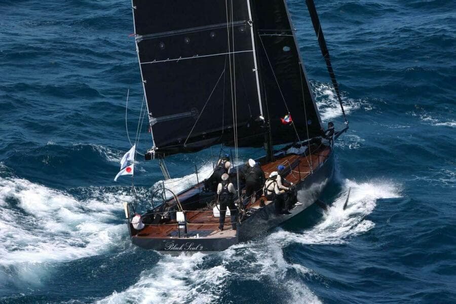 2026 Black Pepper Code 1