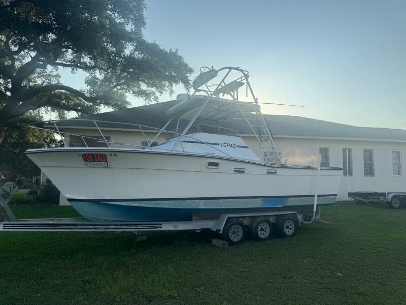1980 Topaz Express