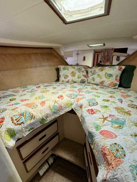 1977 Bertram 42 Motor Yacht