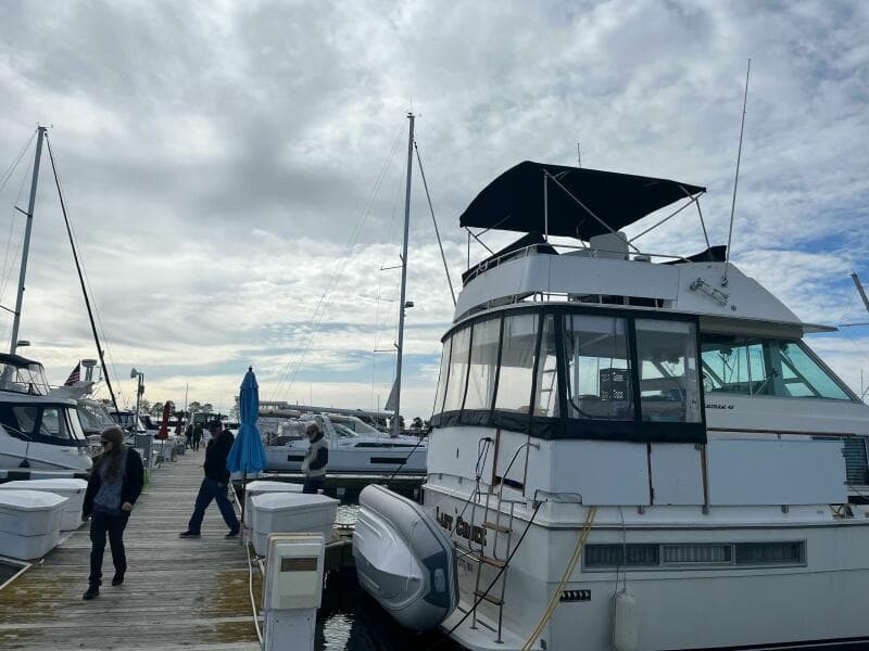 1977 Bertram 42 Motor Yacht