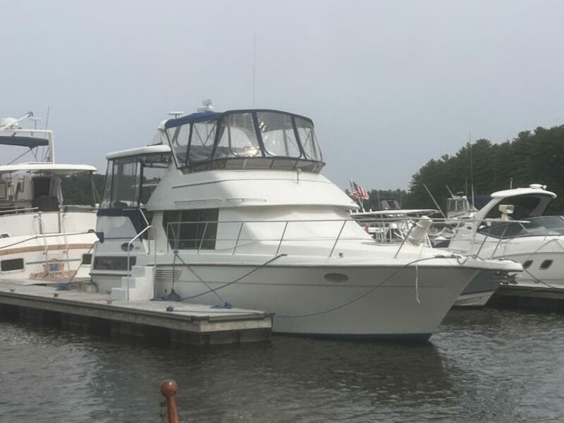 Bow Shot On Dock