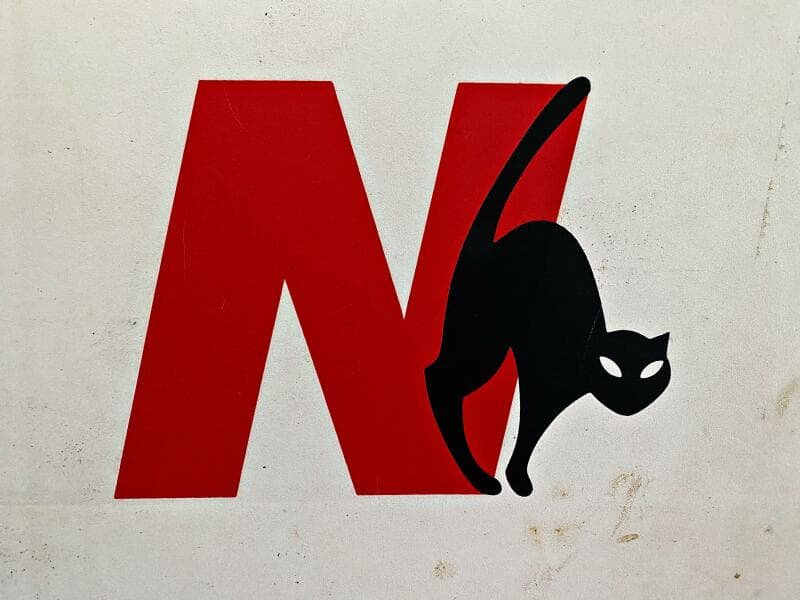 40' Nauticat logo