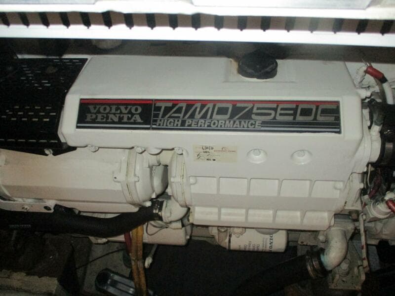 2006 Carver 