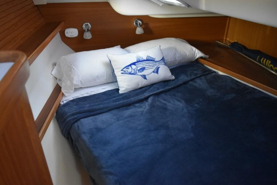 2016 Catalina 445