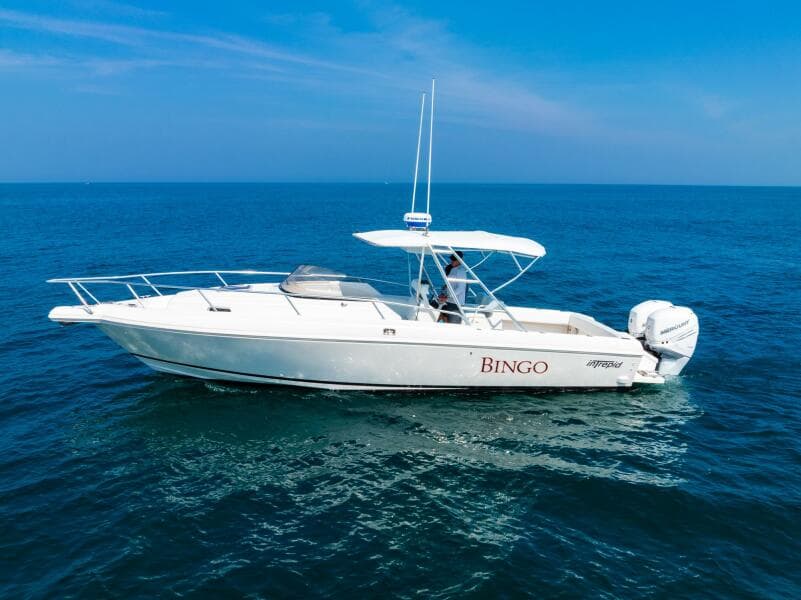 1995 Intrepid 