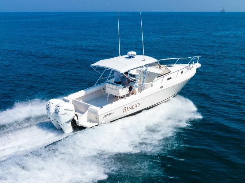 1995 Intrepid 