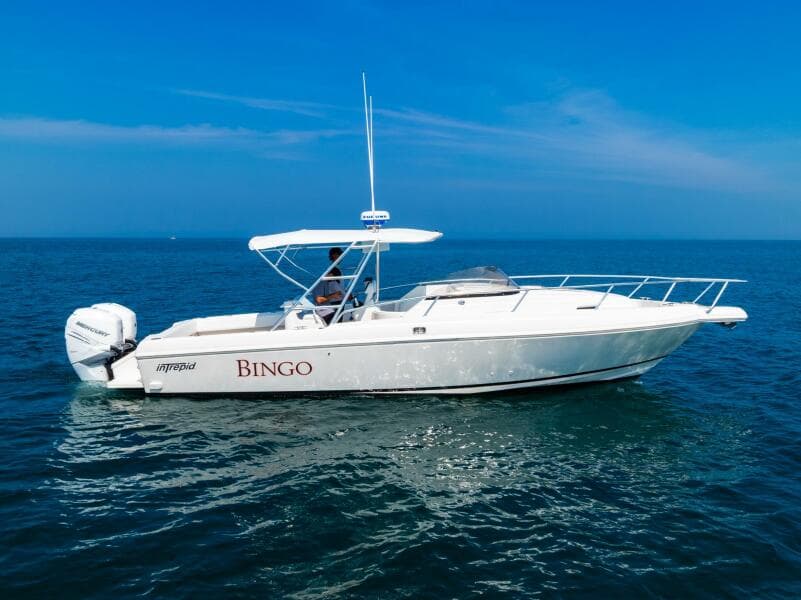 1995 Intrepid 