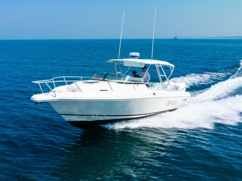 1995 Intrepid