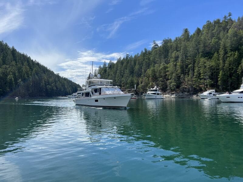 Cruise shot