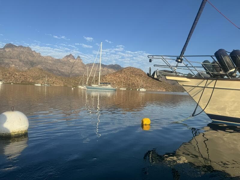 2005 Island Packet 445
