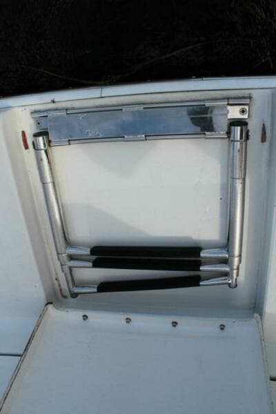 Swim Ladder