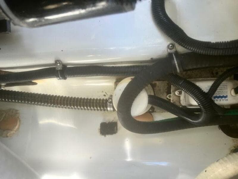Bilge Pump