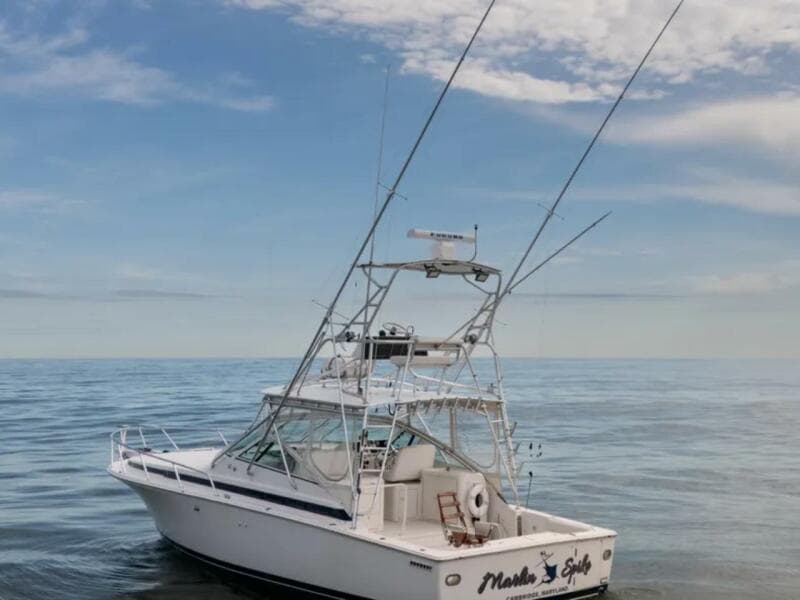 1998 Bertram 36 Moppie