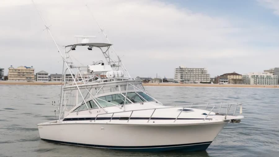 1998 Bertram 36 Moppie