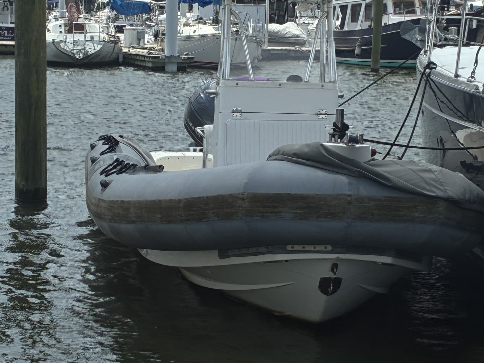 2008 Zodiac Pro 20 Man - Engine