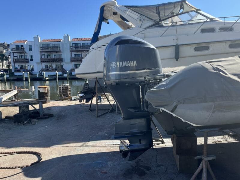 2008 Zodiac Pro 20 Man - Engine