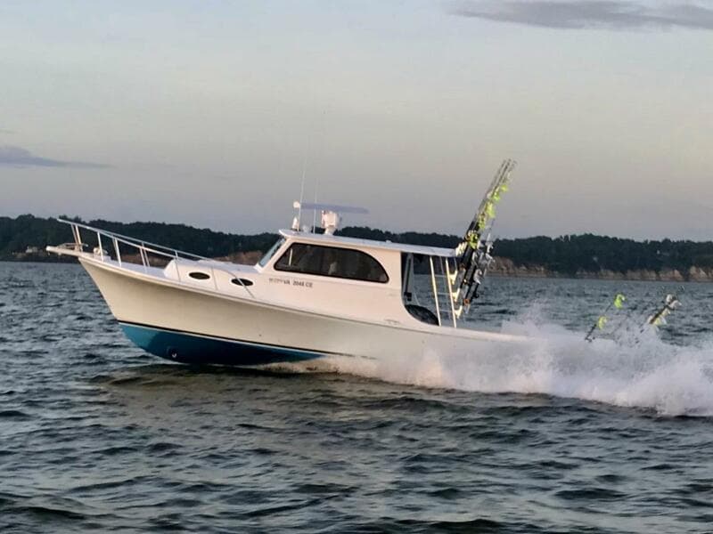 2019 Judge 36 Chesapeake