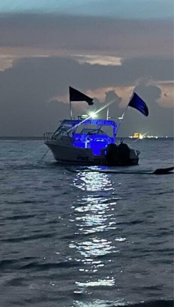 2000 Wellcraft 290 Coastal