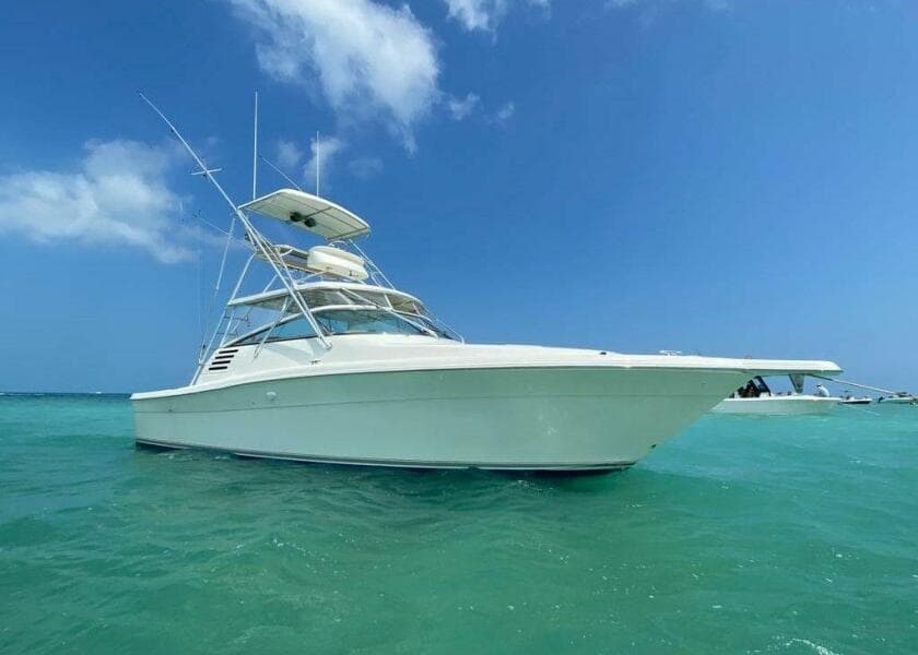 2001 Sea Ray 340 Amberjack