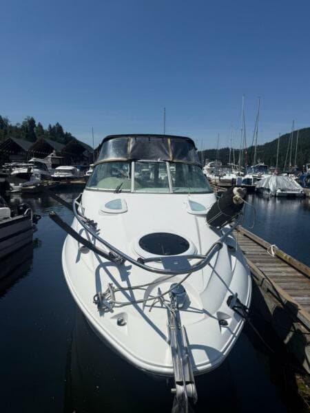 2007 Campion Allante 825