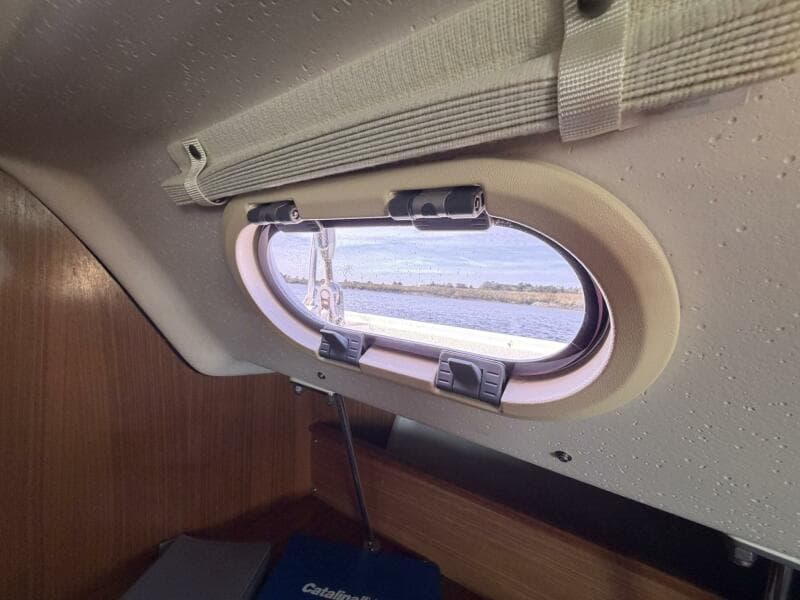 2010 Catalina 309