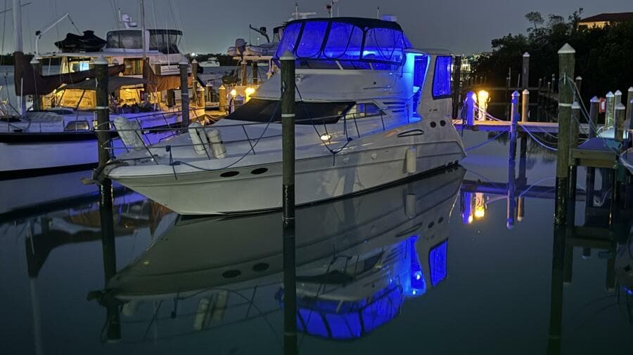 Port Profile Night