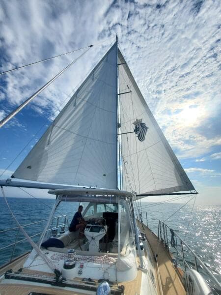2023 Bluewater 56