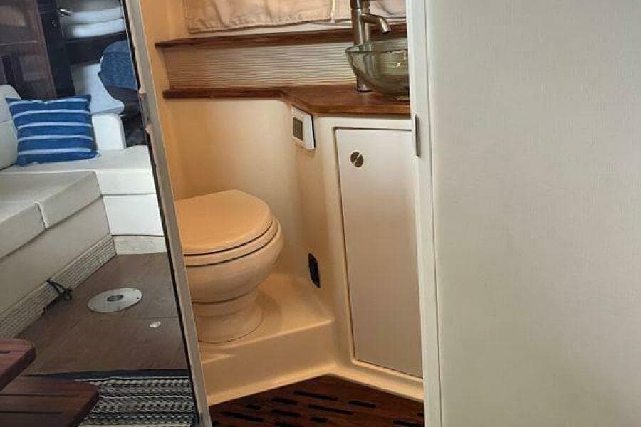 2017 Sea Ray Sundancer 350