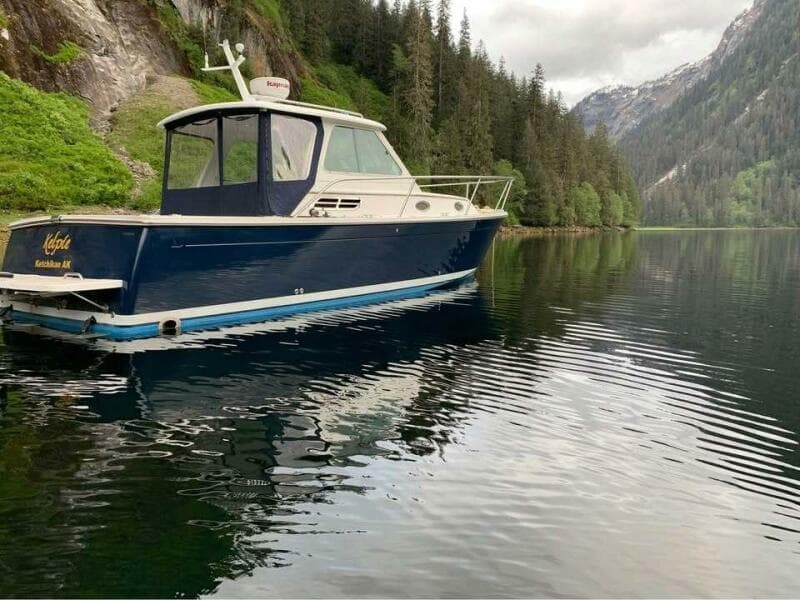 2008 Back Cove 29