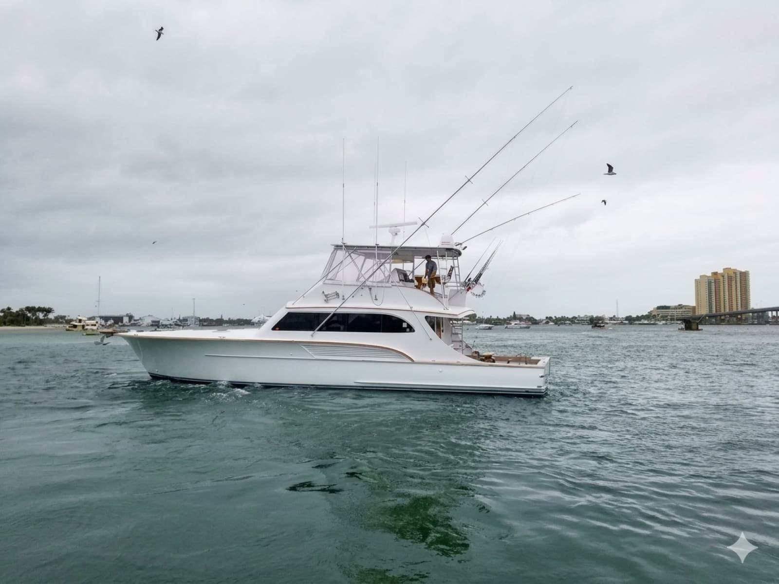 2001 Buddy Davis SPORTFISH
