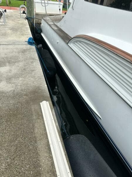 2001 Buddy Davis SPORTFISH