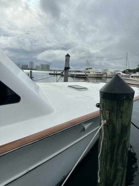 2001 Buddy Davis SPORTFISH