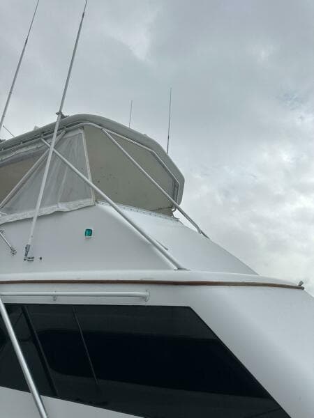 2001 Buddy Davis SPORTFISH