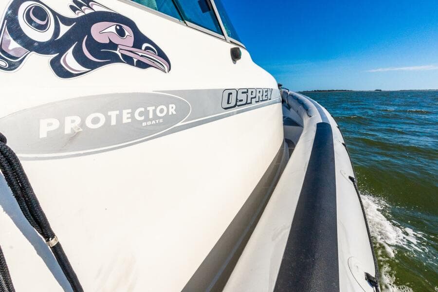 2002 Protector 410 Targa
