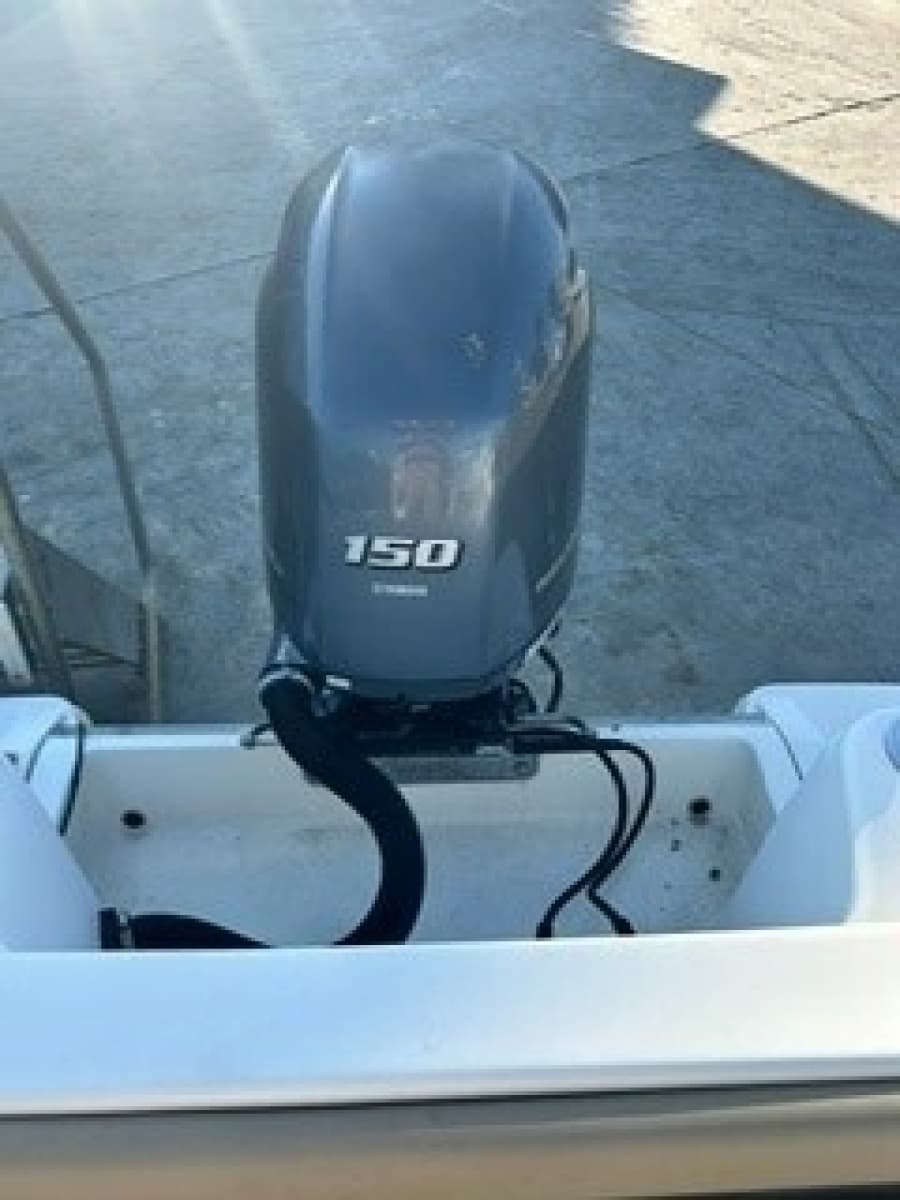 2019 Scout 215 XSF