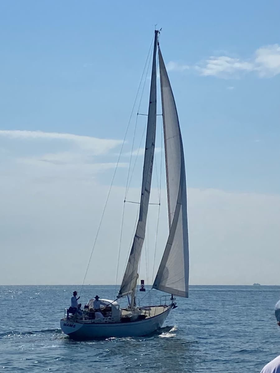 1974 Tartan 41
