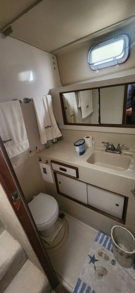 1985 Bertram Flybridge Cruiser