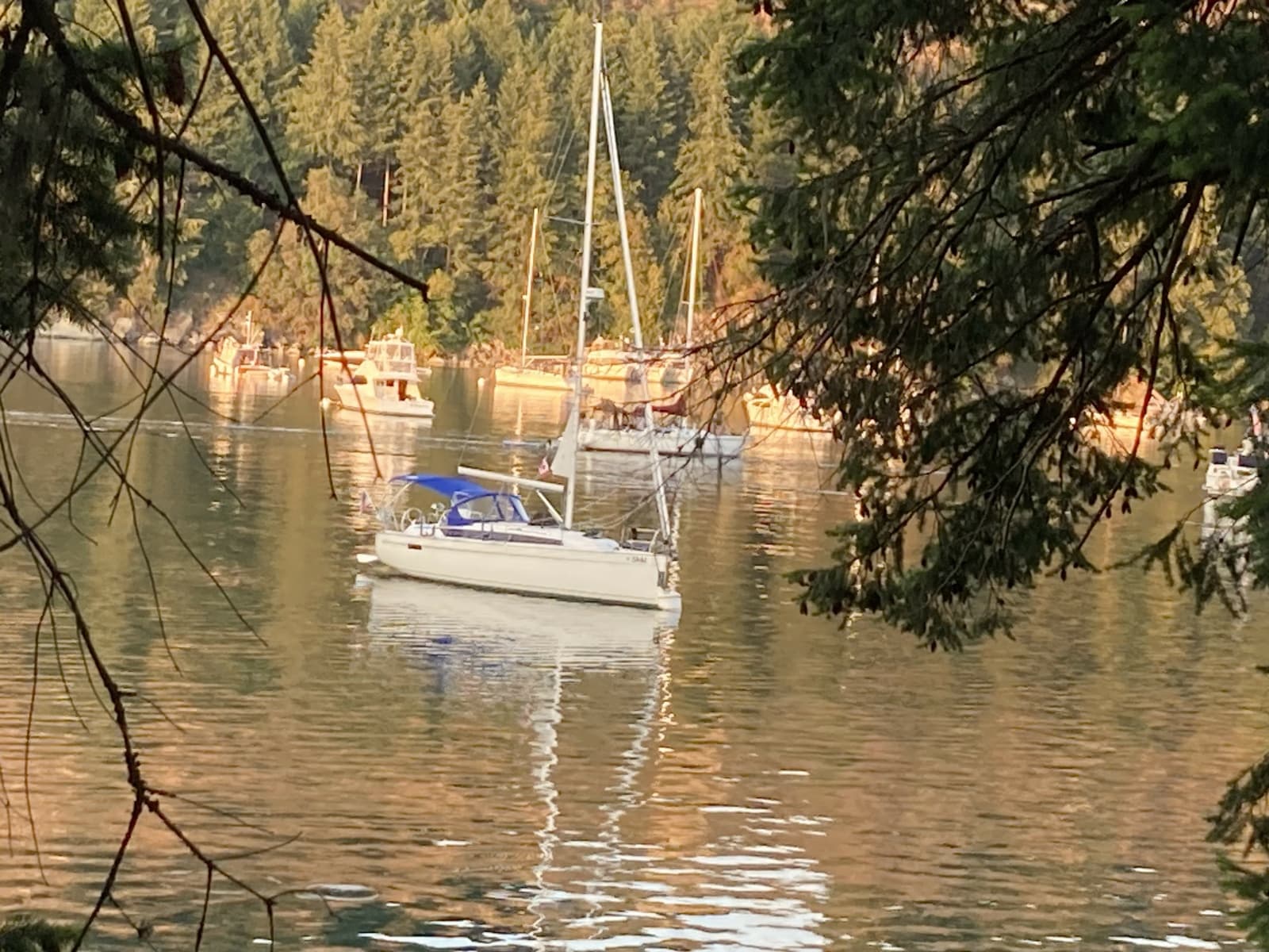 2021 Bavaria Cruiser 34