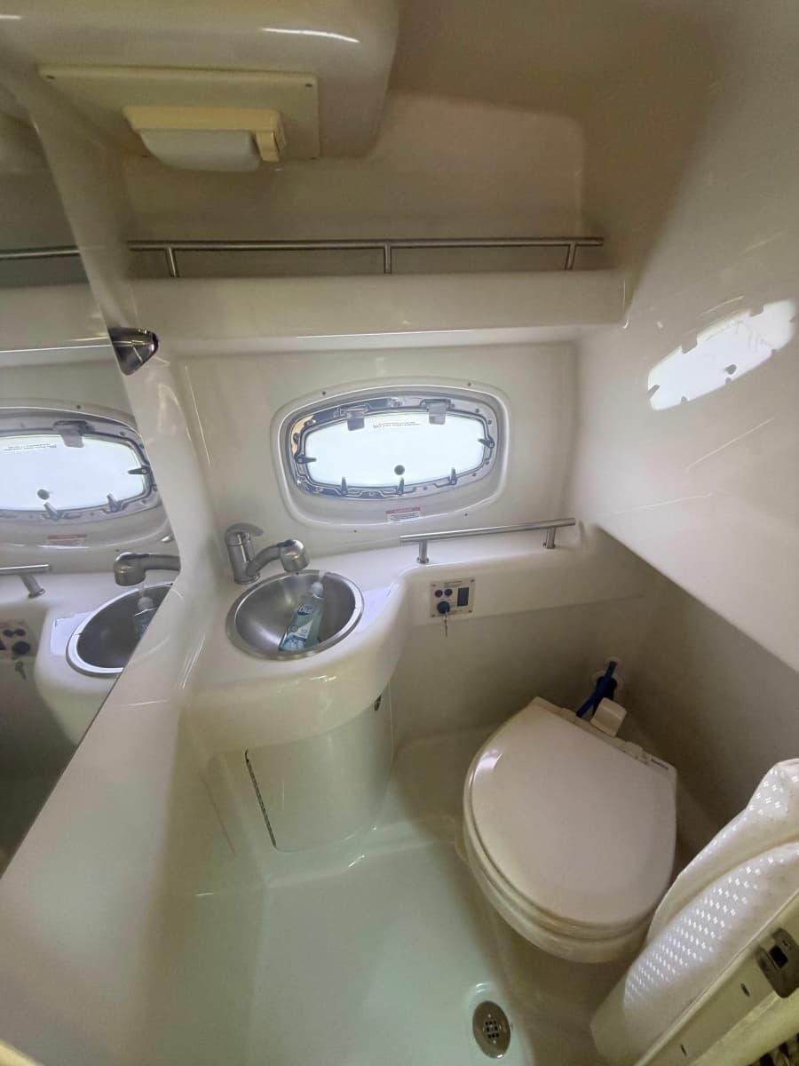 2013 Sea Ray Sundancer 260